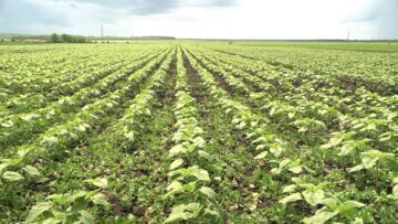 agroprognoza slanchogled zemedelie agrotv