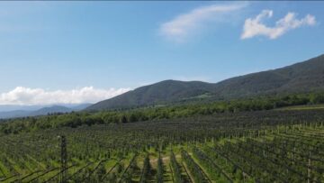 cekovi-atanas-atanasov