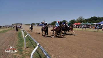 horse agrotv
