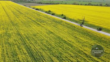 rapica-plant-protection