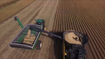 rekordna-rekolta-soya-agrotv