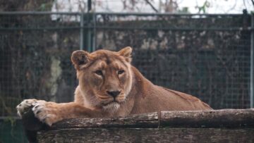 uslovia-zoologicheski-gradini-agrotv