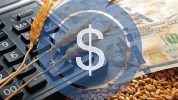 Dollar icon. Banknotes, calculator and wheat grains on wooden background. Agricultural income concept