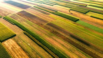 Farm Fields Cultivated in Vibrant Colors. Aerial Drone View