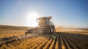 Wide angle view of a combine harvester harvesting wheat on a whe