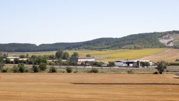agronovini