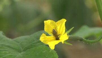 bioproizvoditeli-normativna uredba
