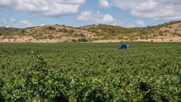 loze agro