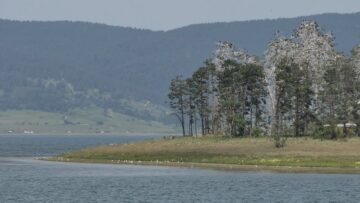 mestni-ribarski-grupi-agrotv