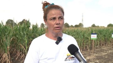 pshenitsa-echemik-agrotv