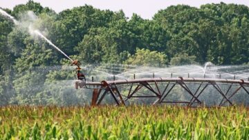 farm-4421270_1280
