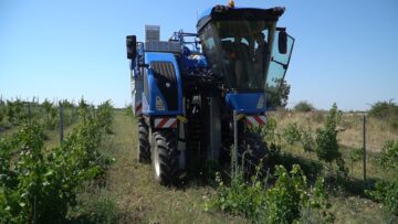 interagri-grozdober