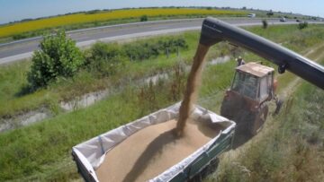 rekolta-soya-tsarevitsa-agrotv