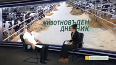jivotni chuma agrotv news