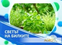 Светът на билките