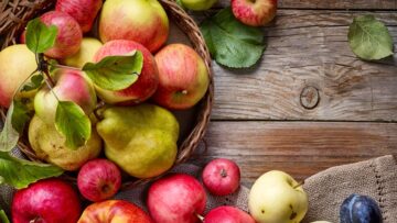 beautiful autumn fruits