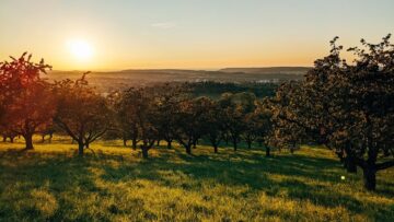 sunset-6700815_1280