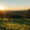 sunset-6700815_1280