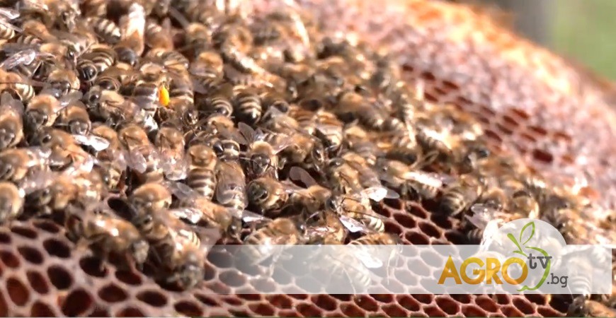 Preload Image