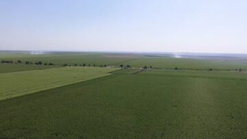 pole agrotv