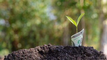 The growth of the business in finance is represented by a growing tree.