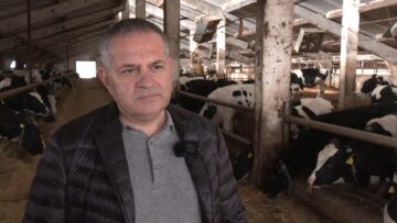 Nikolay Galabov kraveferma