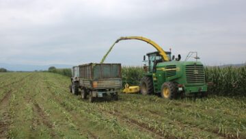 agroforum zhivotni silazh pole