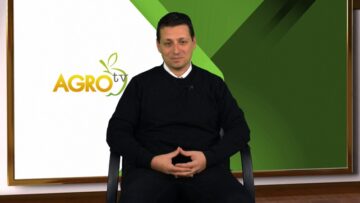 dravcheta bor agrotv