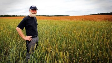 farmer-657333_1280