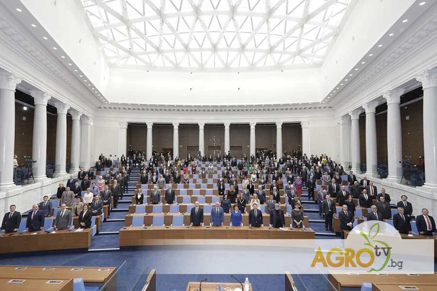 Парламентът избра кабинета „Желязков“