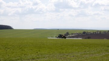 agroforum praskane s pshenitsa