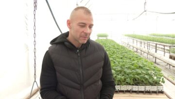 Hristo Terziev oranzherien proizvoditel