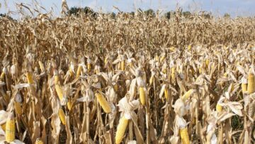 agroforum inovatsii zemedelie agrotv