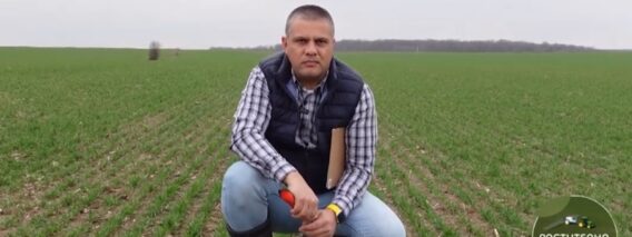 Растителна защита: Първо пролетно торене на есенниците