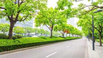 Trees decorated road in modern city