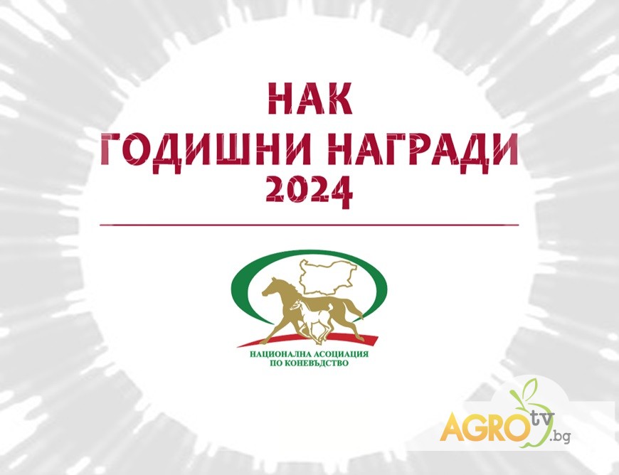 Първи годишни награди за жените в конното общество