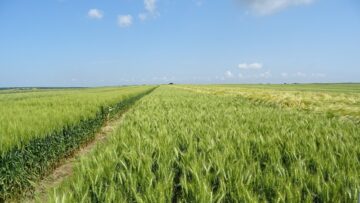poleta zemedelie agronovini