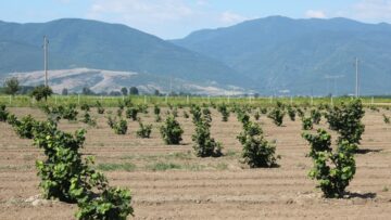 agrinews agrotv