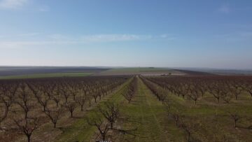 agronovini ovoshki zemedelie