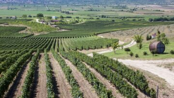 agronovini zemedelie agrotv