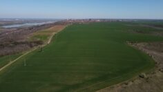 agroprognoza pshenitsa vreme agrotv