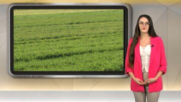 agroprognoza valezhi agrotv zemedelie
