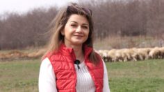 galina mircheva ovtse