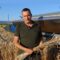 Влажната слама рано сутрин и късно вечер не оказва влияние на качеството на жътвата със стрипер хедерите Shelbourne