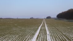 8866snyag agroprognoza agrotv