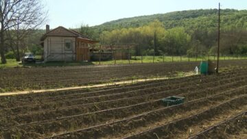 agronovini fermeri agrotv