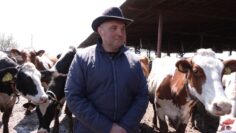 todor vanev dzhersey kravi agrotv