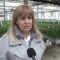 Българското производство на цветя – наболелите теми