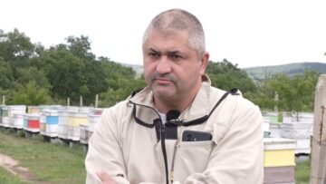 Boris Bormaliyski pchelar