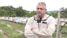Boris Bormaliyski pchelar agrotv